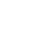 TikTok icon